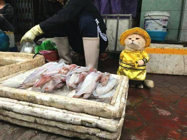 軌距拉桿安裝位置標準及操作指南